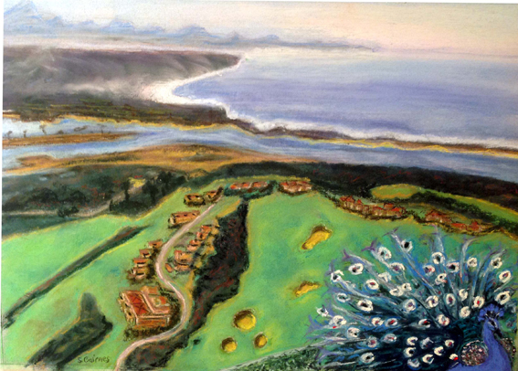 GooseValleyWesternCape